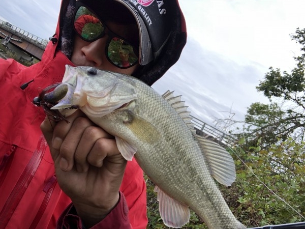 hideup 森田健太郎 ブログ写真 2018/11/15