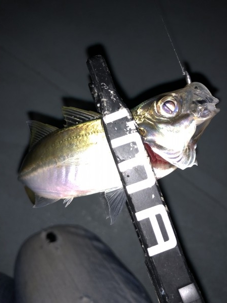 hideup 森田健太郎 ブログ写真 2018/11/15