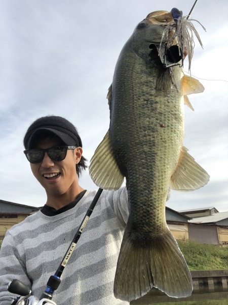 hideup 森田健太郎 ブログ写真 2018/11/18