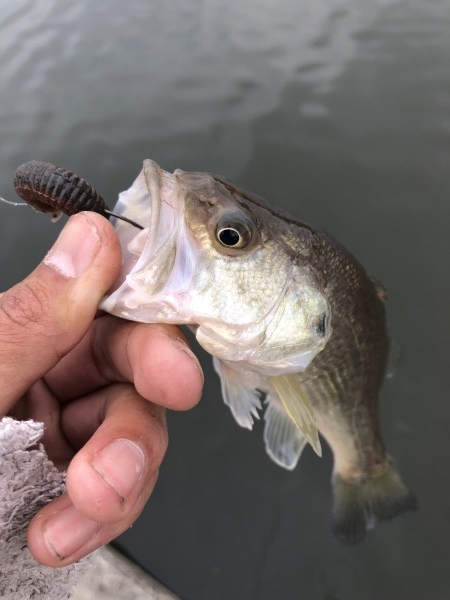 hideup 森田健太郎 ブログ写真 2018/11/18