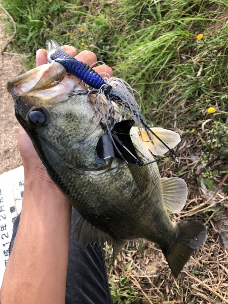 hideup 森田健太郎 ブログ写真 2018/11/18