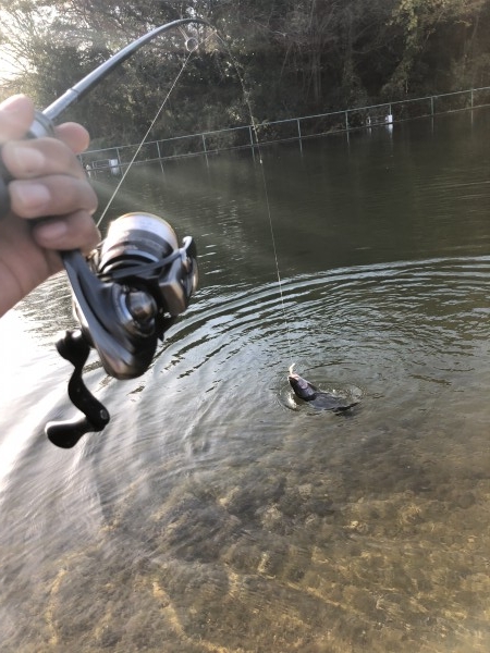 hideup 森田健太郎 ブログ写真 2018/12/01