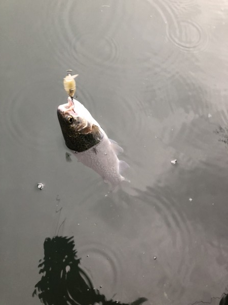 hideup 森田健太郎 ブログ写真 2018/12/04