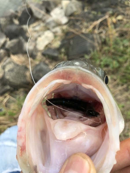 hideup 森田健太郎 ブログ写真 2018/12/04