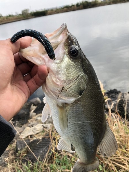 hideup 森田健太郎 ブログ写真 2018/12/04