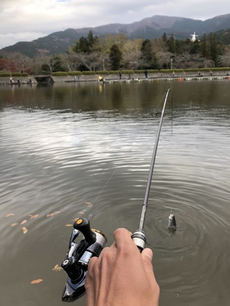 hideup 森田健太郎 ブログ写真 2018/12/04