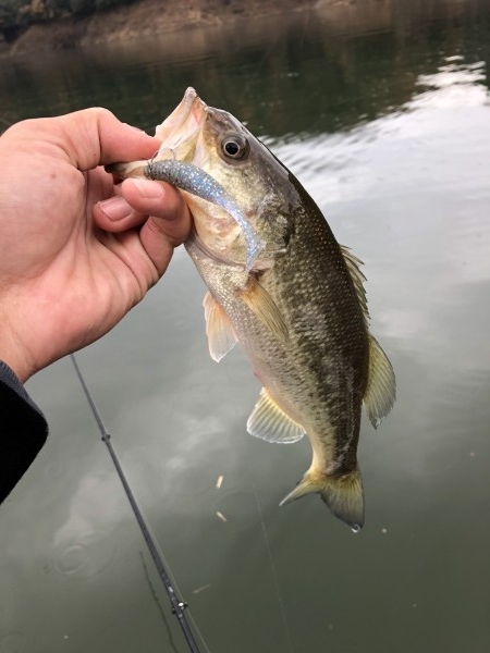 hideup 森田健太郎 ブログ写真 2018/12/07