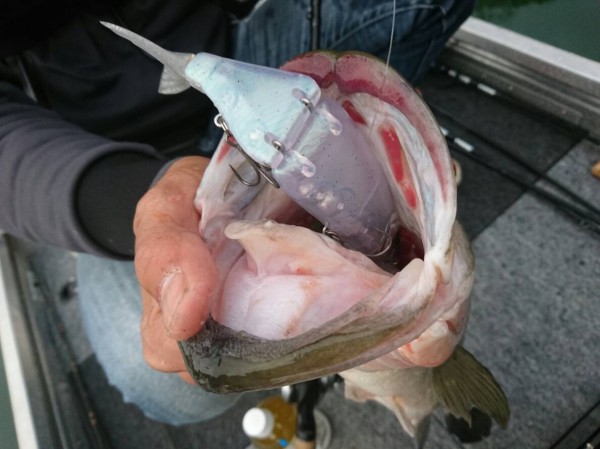 hideup 森田健太郎 ブログ写真 2018/12/07