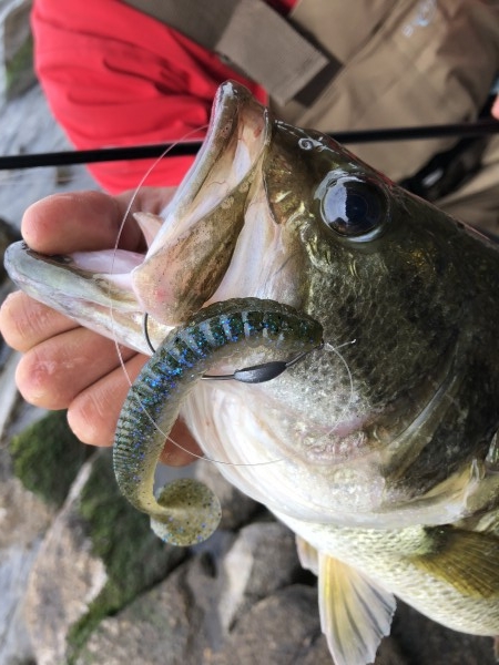 hideup 森田健太郎 ブログ写真 2018/12/09