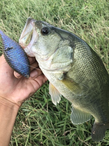 hideup 森田健太郎 ブログ写真 2019/10/06