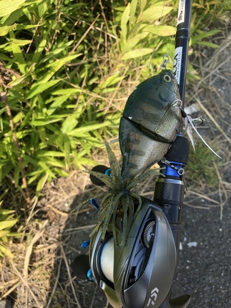 hideup 森田健太郎 ブログ写真 2019/10/09