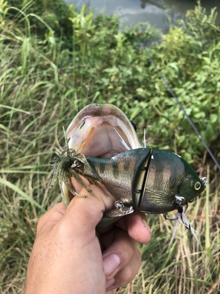 hideup 森田健太郎 ブログ写真 2019/10/09