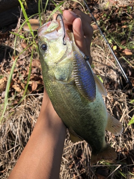 hideup 森田健太郎 ブログ写真 2019/10/10