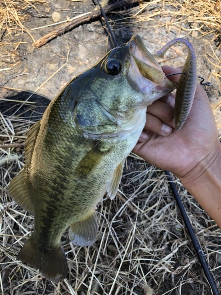 hideup 森田健太郎 ブログ写真 2019/10/10