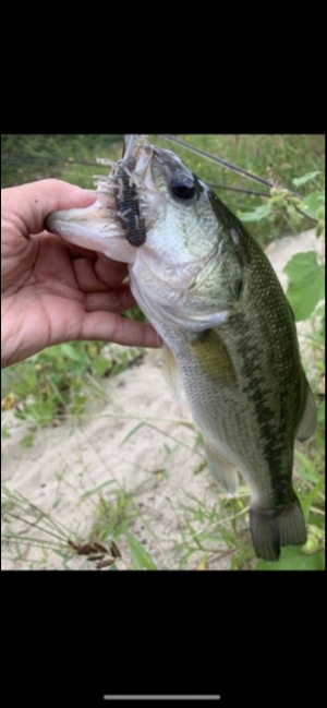 hideup 森田健太郎 ブログ写真 2019/10/12