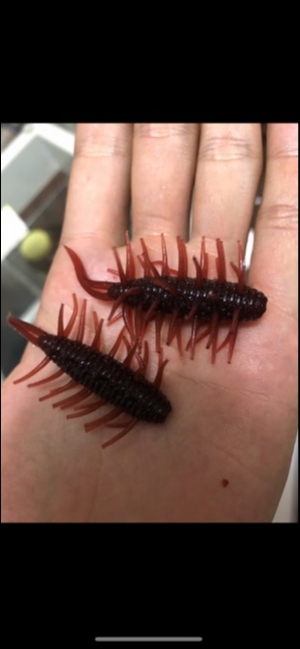 hideup 森田健太郎 ブログ写真 2019/10/12