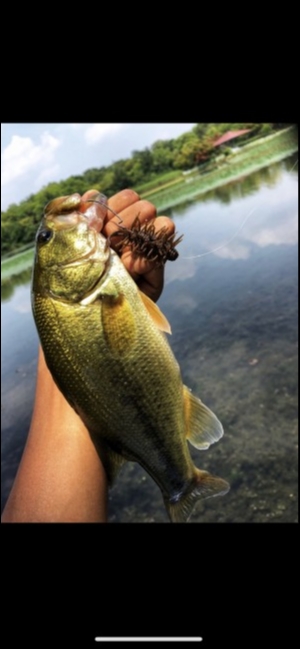 hideup 森田健太郎 ブログ写真 2019/10/12