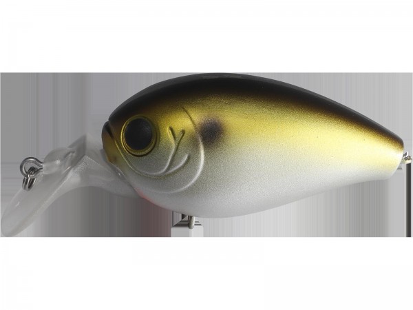 hideup 森田健太郎 ブログ写真 2019/10/12