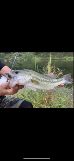 hideup 森田健太郎 ブログ写真 2019/10/12