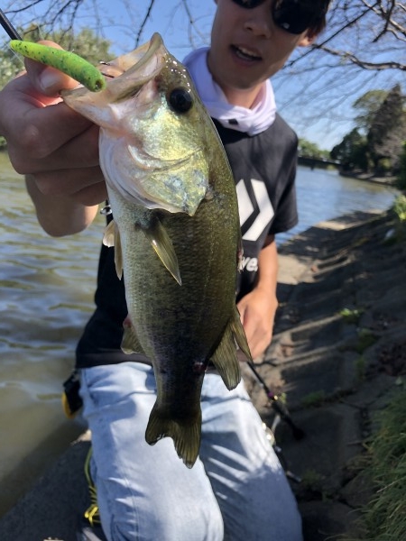 hideup 森田健太郎 ブログ写真 2019/10/15