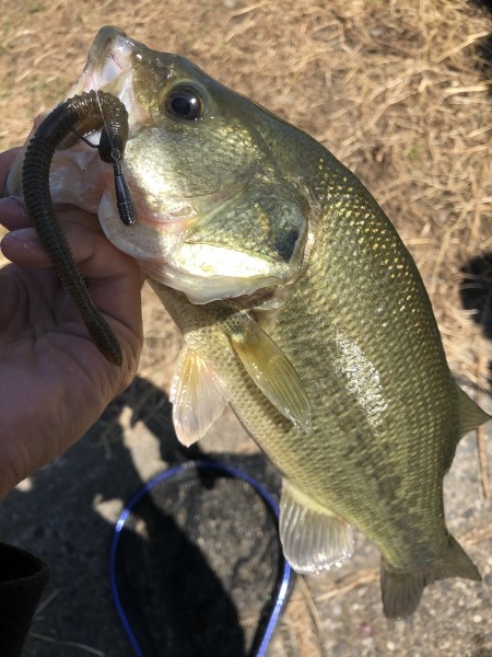 hideup 森田健太郎 ブログ写真 2019/10/15