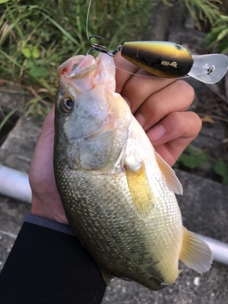 hideup 森田健太郎 ブログ写真 2019/10/16