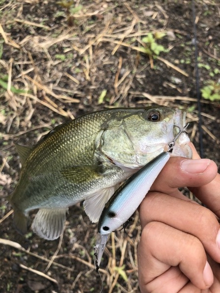 hideup 森田健太郎 ブログ写真 2019/10/18