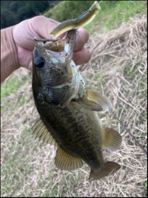 hideup 森田健太郎 ブログ写真 2019/10/21