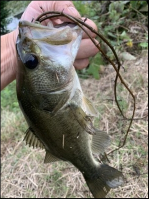 hideup 森田健太郎 ブログ写真 2019/10/21
