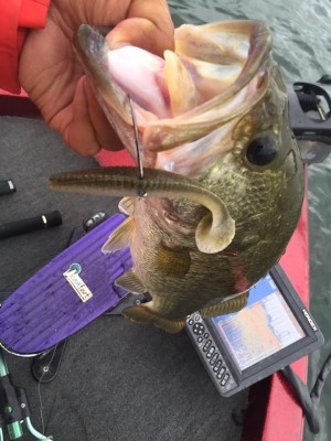 hideup 永野総一朗 ブログ写真 2015/07/23