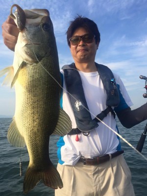 hideup 豌ｸ驥守ｷ丈ｸ譛� 繝悶Ο繧ｰ蜀咏悄 2016/06/18