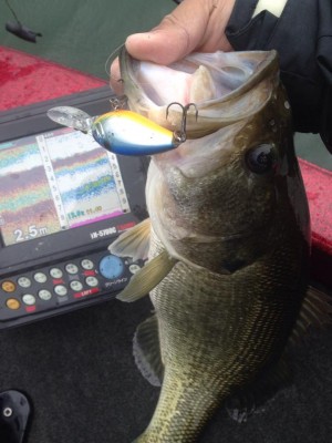 hideup 永野総一朗 ブログ写真 2015/04/01