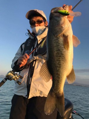 hideup 豌ｸ驥守ｷ丈ｸ譛� 繝悶Ο繧ｰ蜀咏悄 2017/10/28