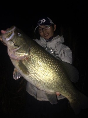 hideup 豌ｸ驥守ｷ丈ｸ譛� 繝悶Ο繧ｰ蜀咏悄 2016/11/23