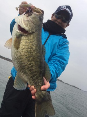 hideup 永野総一朗 ブログ写真 2016/11/21