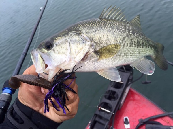 hideup 永野総一朗 ブログ写真 2015/11/18