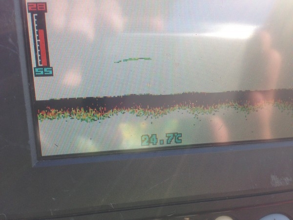 hideup 永野総一朗 ブログ写真 2013/09/18