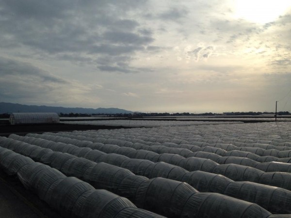 hideup 永野総一朗 ブログ写真 2015/03/15