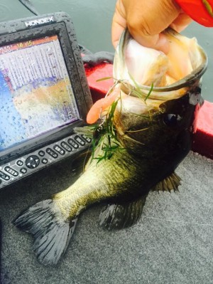 hideup 永野総一朗 ブログ写真 2015/07/08