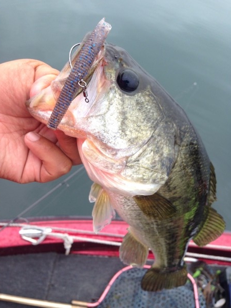 hideup 永野総一朗 ブログ写真 2015/06/10