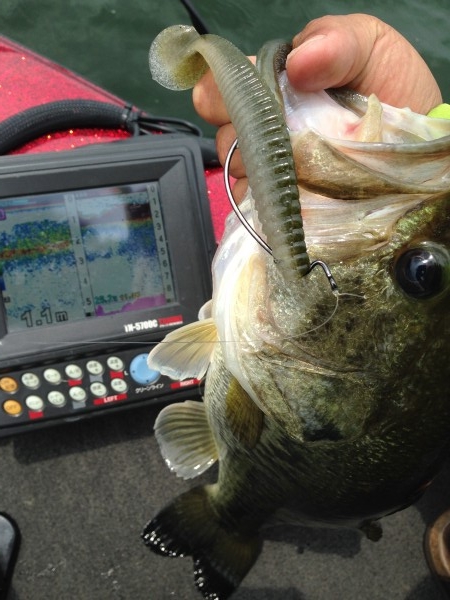 hideup 永野総一朗 ブログ写真 2014/06/05