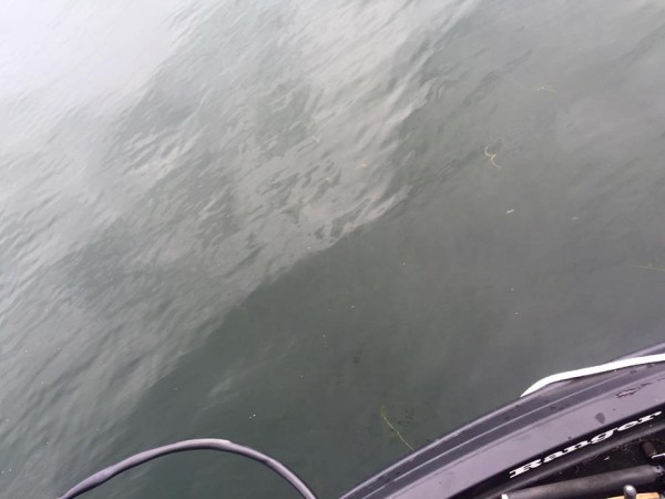 hideup 永野総一朗 ブログ写真 2016/09/16