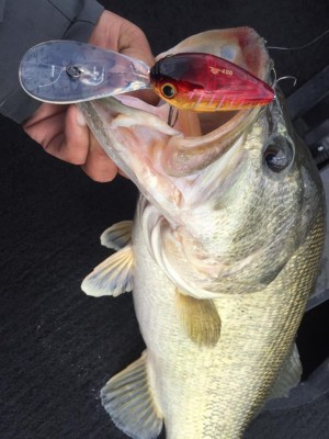 hideup 永野総一朗 ブログ写真 2017/03/24