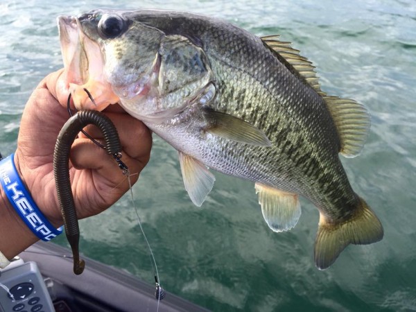 hideup 永野総一朗 ブログ写真 2016/08/17