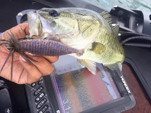 hideup 永野総一朗 ブログ写真 2016/08/21