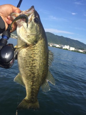 hideup 永野総一朗 ブログ写真 2017/05/17