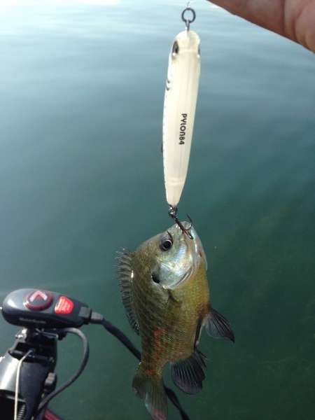 hideup 永野総一朗 ブログ写真 2014/07/01