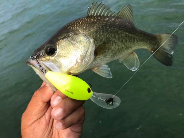 hideup 永野総一朗 ブログ写真 2017/10/11