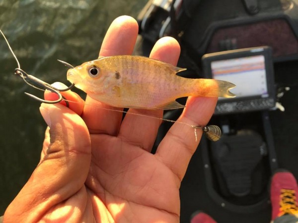 hideup 永野総一朗 ブログ写真 2017/12/12