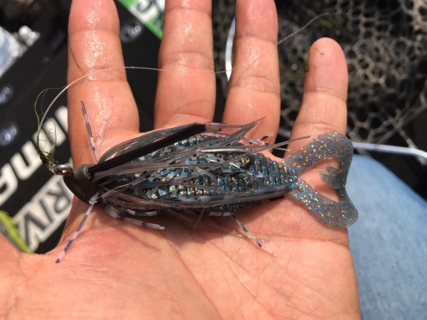 hideup 永野総一朗 ブログ写真 2017/07/07